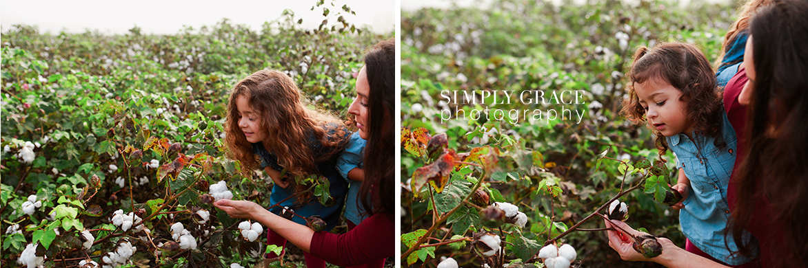 Georgia cotton field maternity simply grace photography