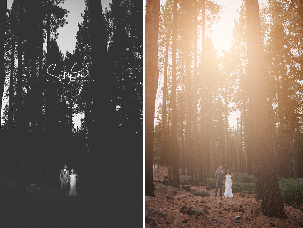 lake tahoe wedding kansas city wedding photographer night tall tree shots