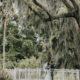 elopement Bonaventure elopement spanish moss trees