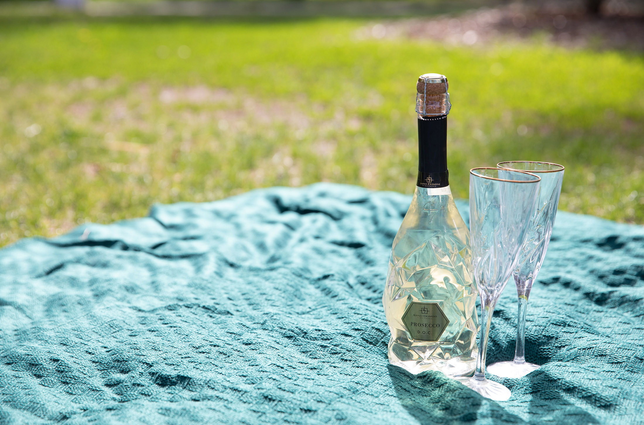 champagne and glasses at engagement session