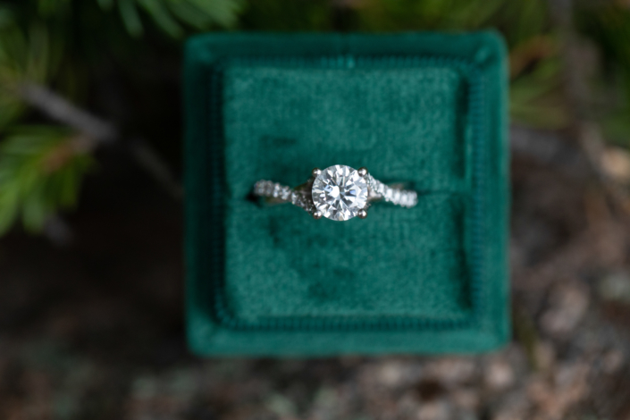 ring in green box at bear lake engagement session