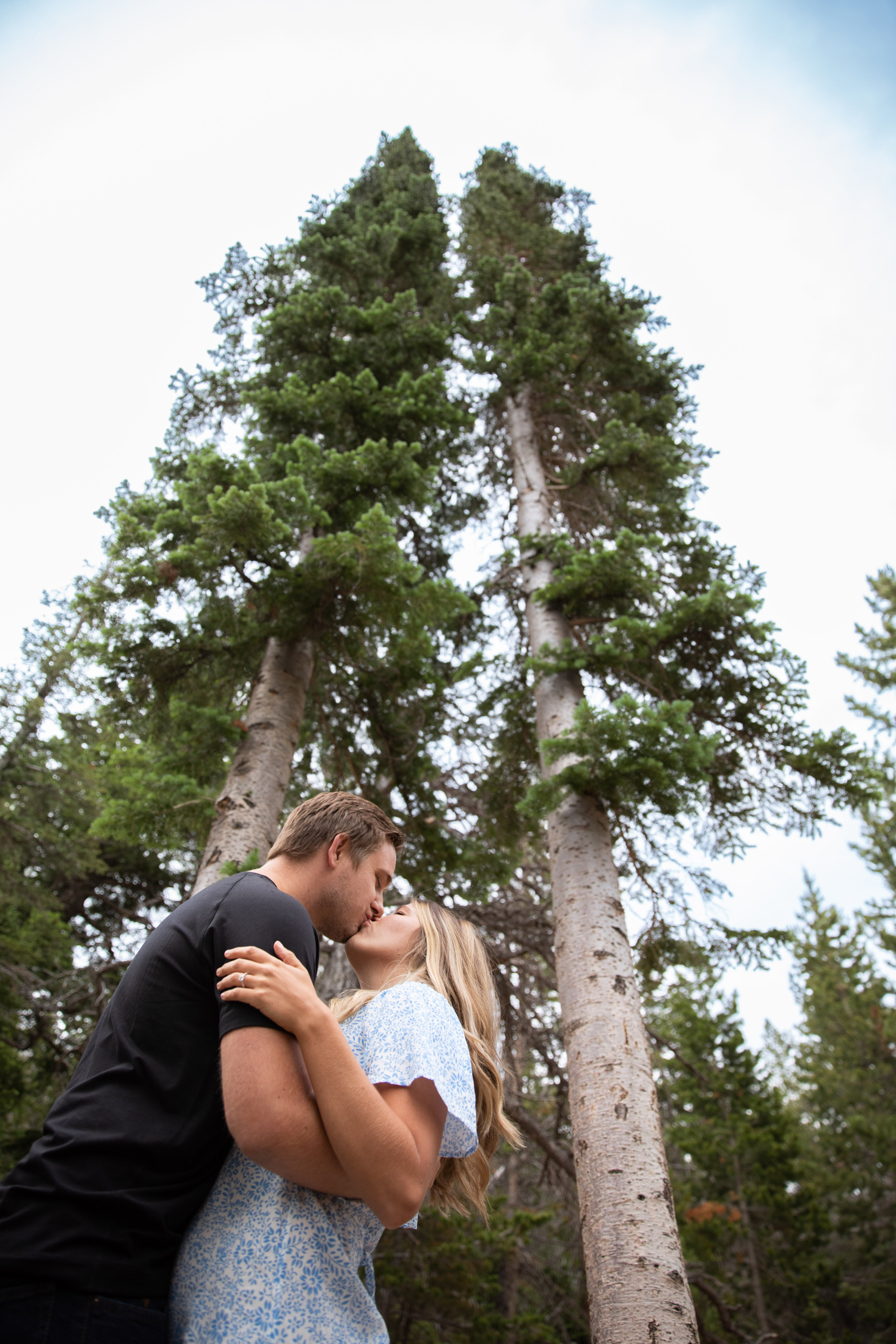 kissing with tall trees in rocky mountain national park