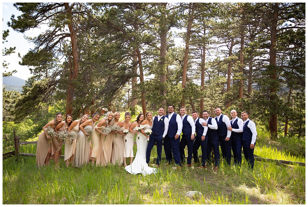 wedding party Wild Basin wedding with simply grace photography