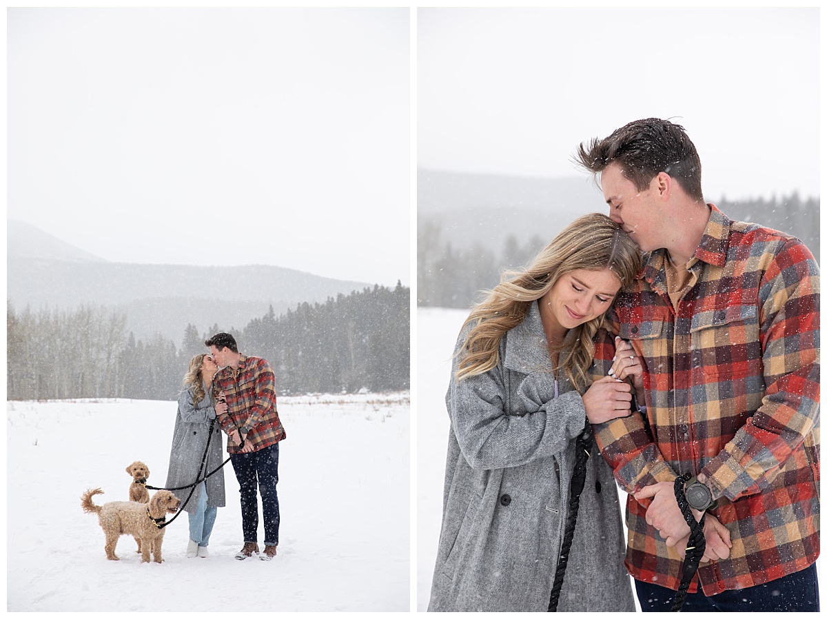 colorado springs wedding photographer with puppy dogs