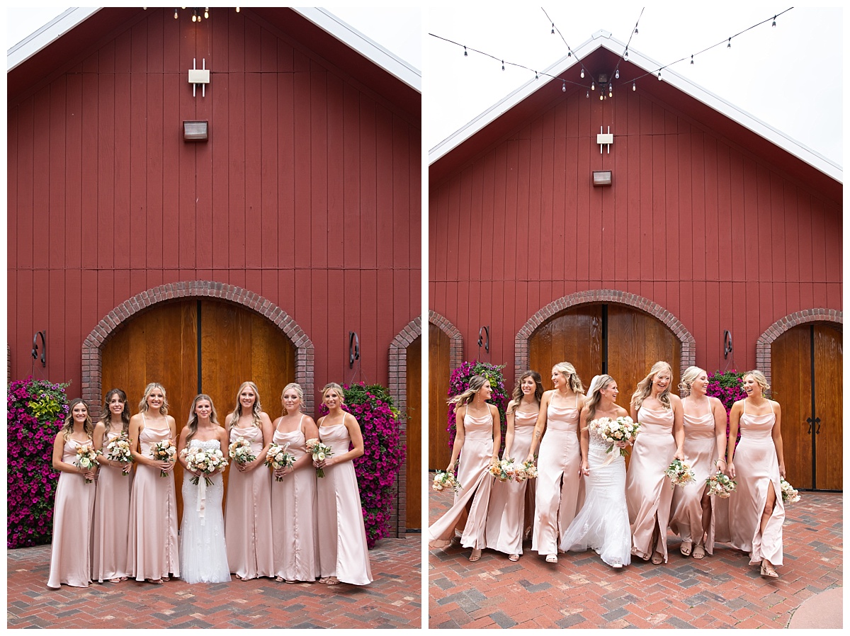 crooked willow wedding bridesmaids group photo